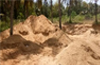 Permission for scaled down extraction of sand